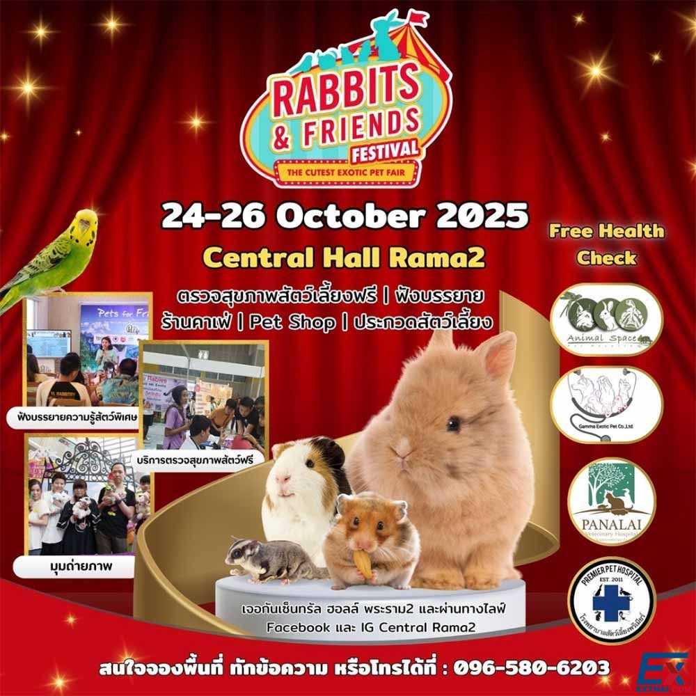 RABBITS & FRIENDS FESTIVAL