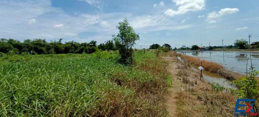 位于Lat Lum Kaeo, Pathum Thani的土地面积：4 rai共6400平方米